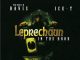 Leprechaun in the Hood movie poster