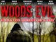 Woods of Evil horror movie